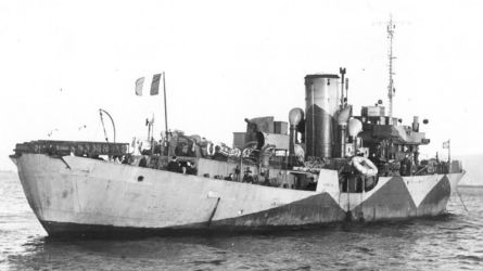 HMS_Mimosa