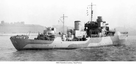 HMS_Potentilla